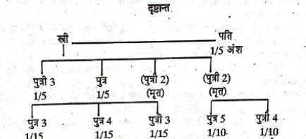 हिन्दू स्त्री की सम्पत्ति के उत्तराधिकार के सामान्य नियम क्या हैं ?