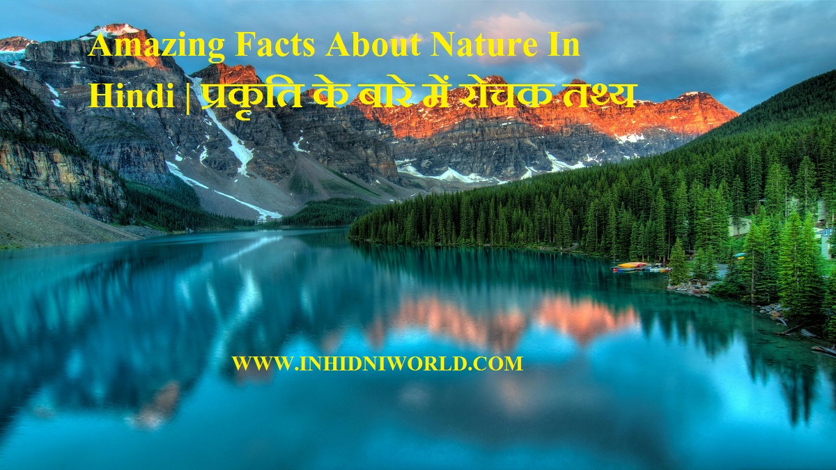 Amazing Facts About Nature In Hindi प्रकृति के बारे में रोचक तथ्य