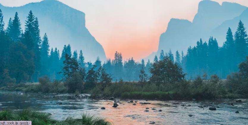 सुबह जल्दी उठने के फायदे